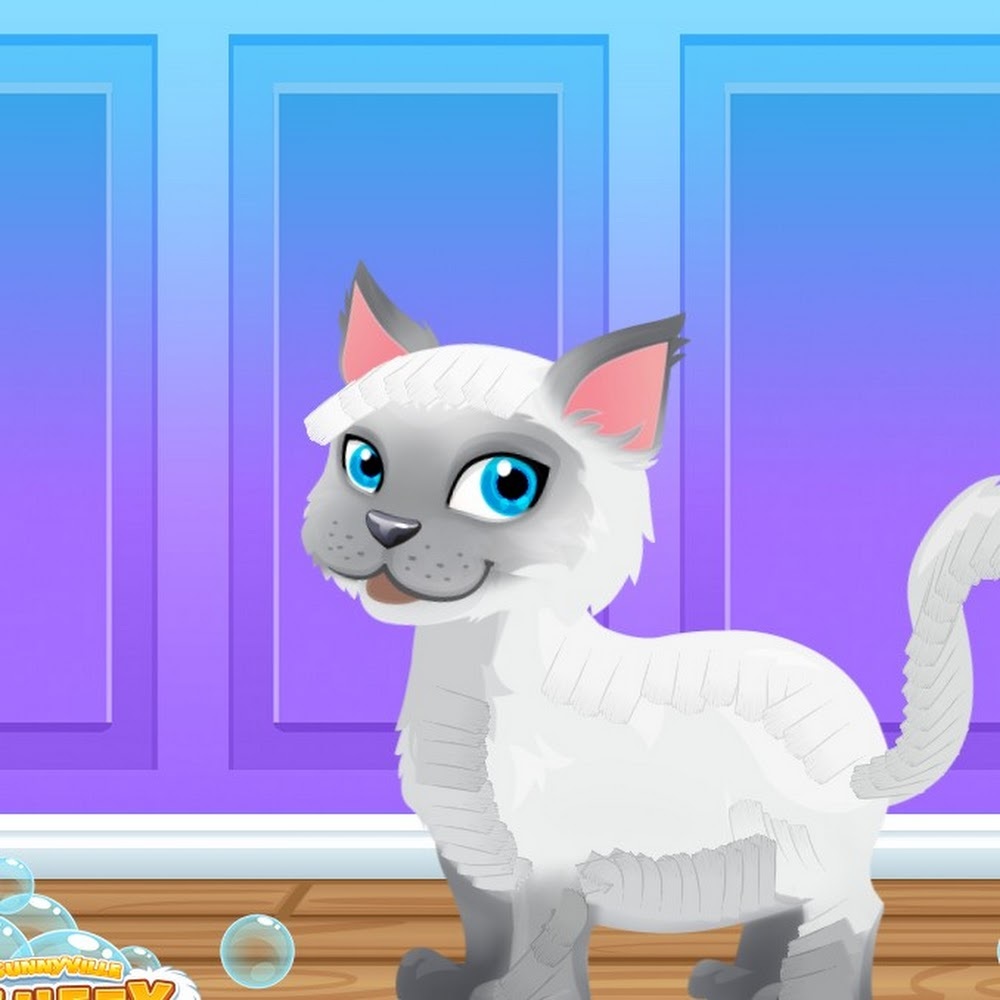 Meet your Posher, Kitty